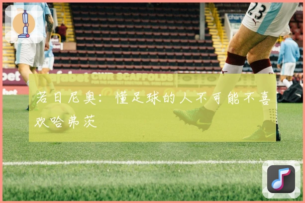 若日尼奥：懂足球的人不可能不喜欢哈弗茨
