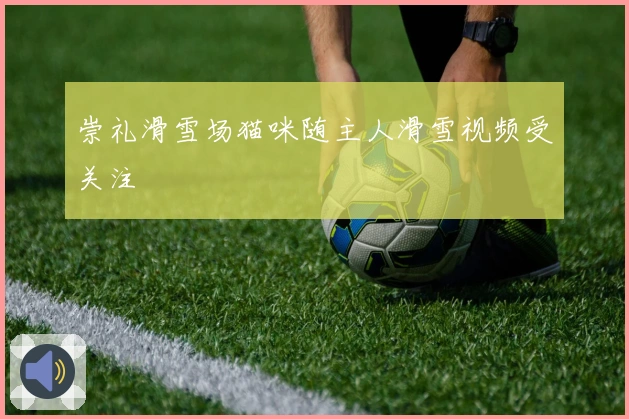 崇礼滑雪场猫咪随主人滑雪视频受关注