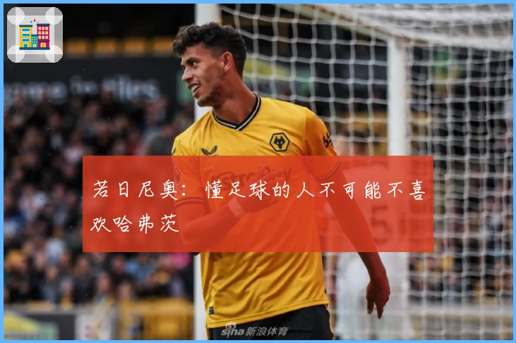 若日尼奥:懂足球的人不可能不喜欢哈弗茨