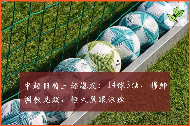 中超旧将土超爆发:14球3助,穆帅调教见效,恒大慧眼识珠