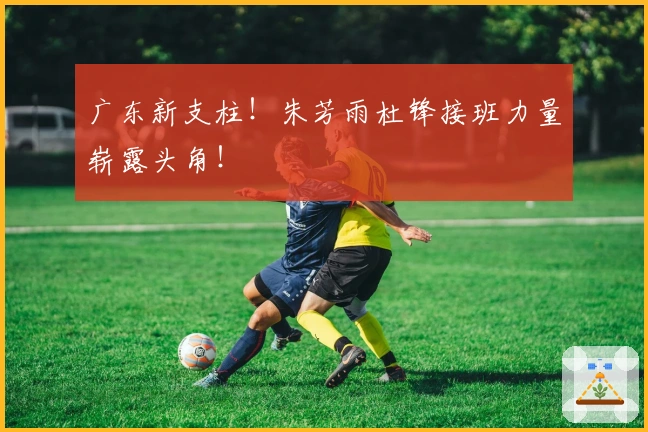 广东新支柱！朱芳雨杜锋接班力量崭露头角！